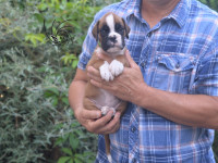 /album/vrh-e3-litter-e3-miot-e3/dsc-8401-k-jpg/